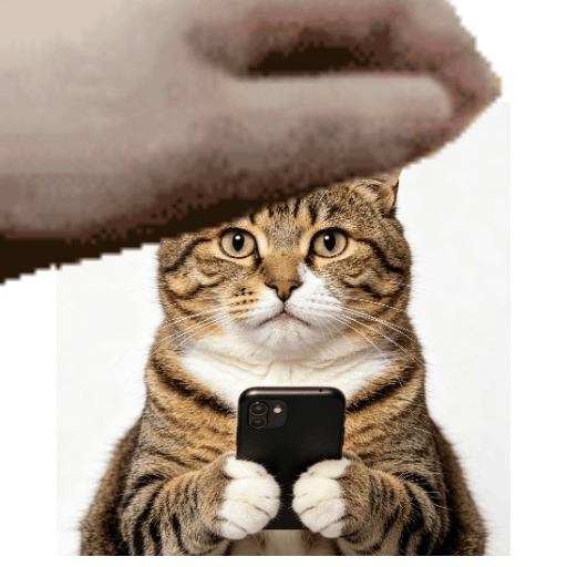 斑点豹猫